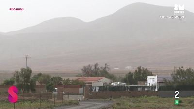 Somos 8 - 12/03/2026