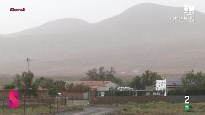 Somos 8 - Somos 8 - 12/03/2026