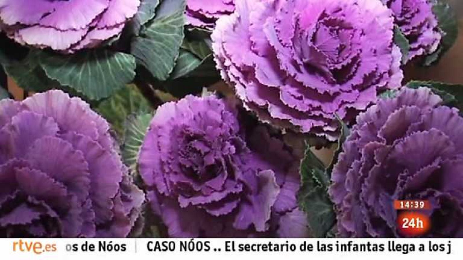 Zoom Tendencias -  Ezcaray, una escapada con lustre - 23/02/13 - ver ahora