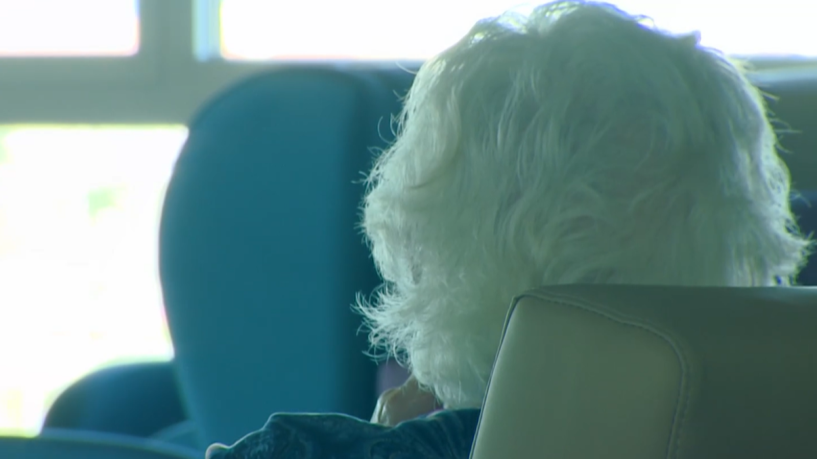 En 2025 murieron 33.000 personas dependientes, sin ayudas - Telediario 2 | Ver