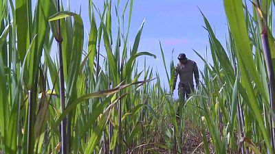 Agrosfera - 14/03/26