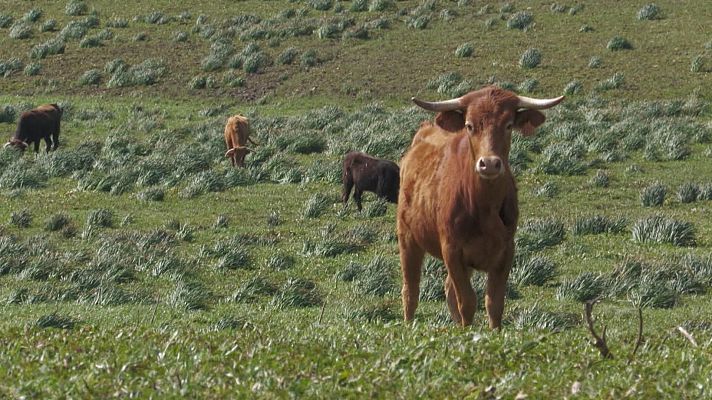 Tendido cero - Tendido Cero - 14/03/26
