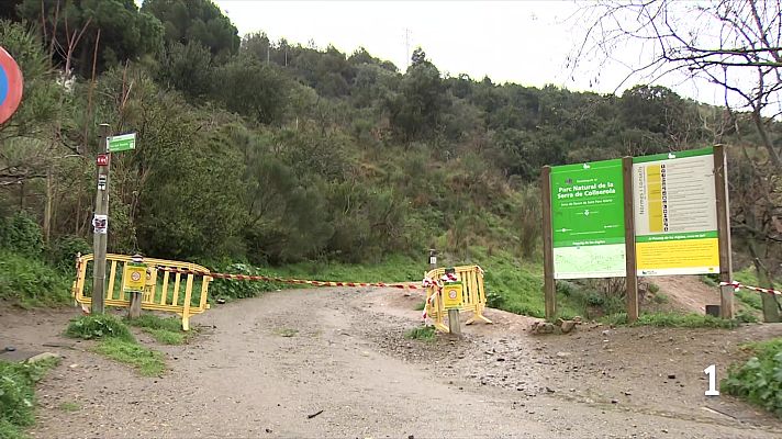 L'Informatiu - Així s'està vivint el tancament del Parc Natural de Collserola