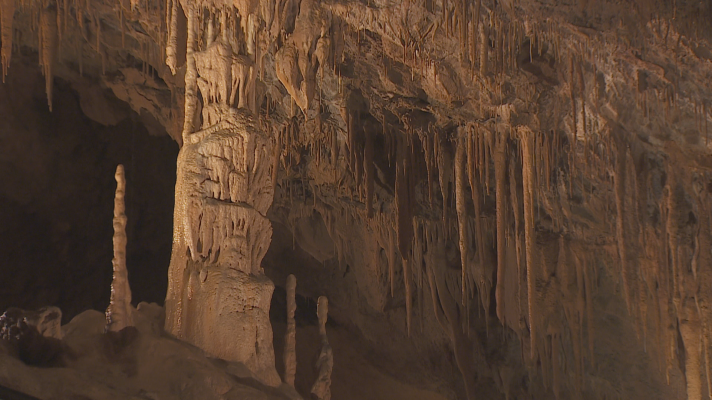Telenavarra - Navarra celebra el XVI Día de las Cuevas