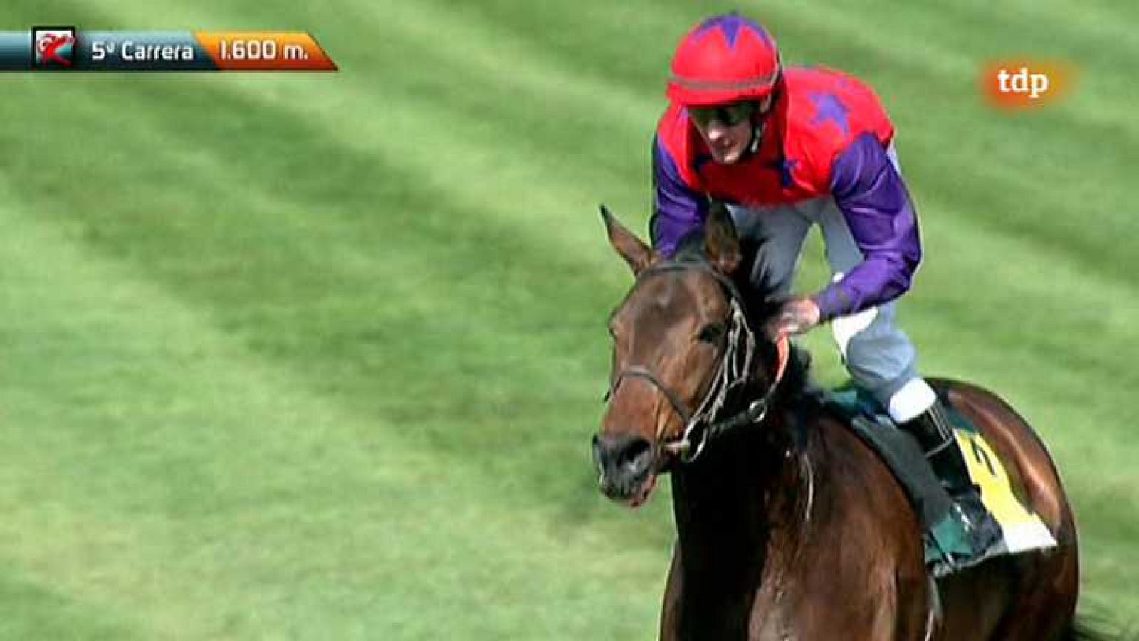 Turf - 24/02/13 - Ver ahora