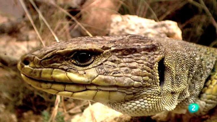 Biodiario - Biodiario - 24/02/13