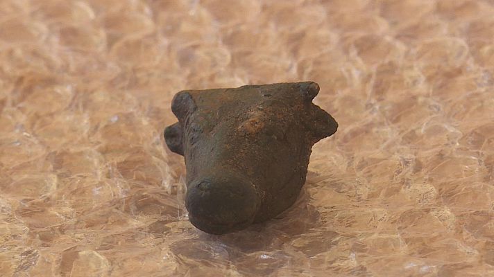 Informatiu Balear - Descobreixen un 'cap de bou' en miniatura a la Serra de Tramuntana