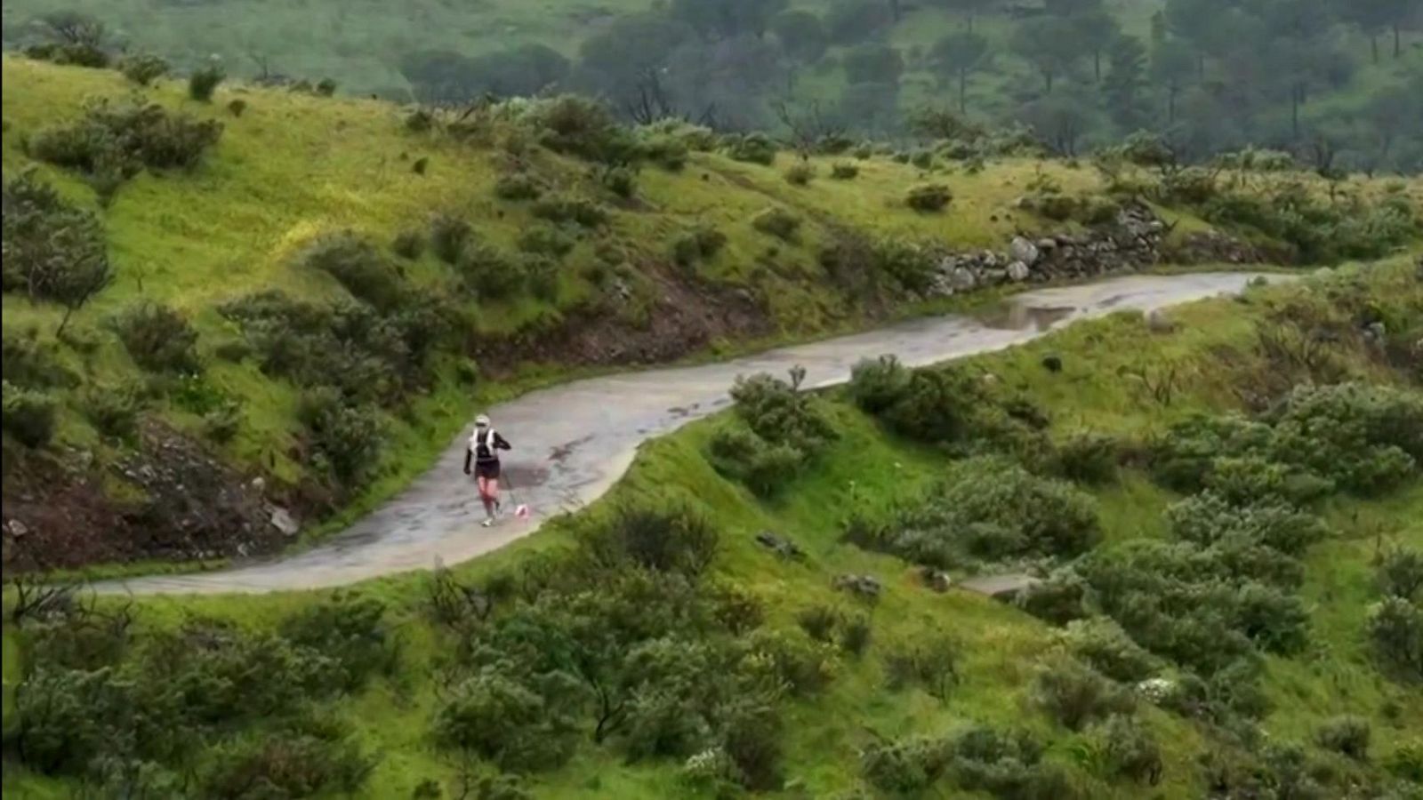 Trail de montaña - Transgrancanaria 2026 - Carreras de montaña | Ver