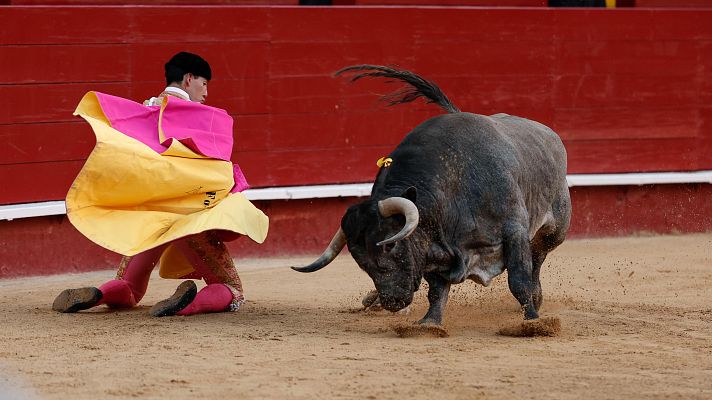 Noticias Aragón - Los festejos taurinos en Aragón se verán afectados este año por la dermatosis nodular contagiosa: se limitan los movimientos del ganado vacuno