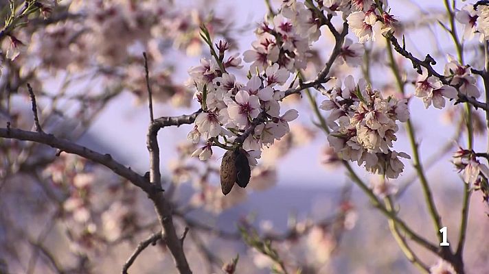 Informativo Telerioja - Informativo Telerioja - 18/03/26