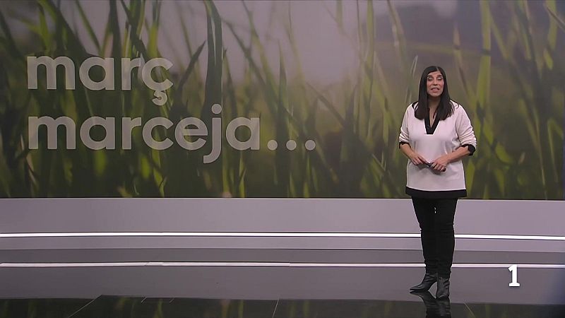 El temps a les Illes Balears - 18/03/26 | Ver