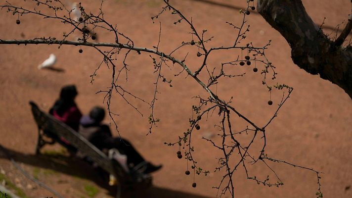 Telediario 1 - Las borrascas de récord de este invierno provocará una primavera complicada para los alérgicos