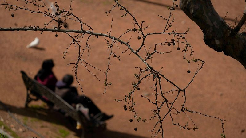 Un invierno lluvioso provocará una primavera complicada para alérgicos - Telediario 1 | Ver