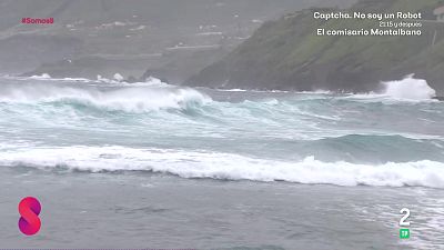 Somos 8 - 18/03/2026