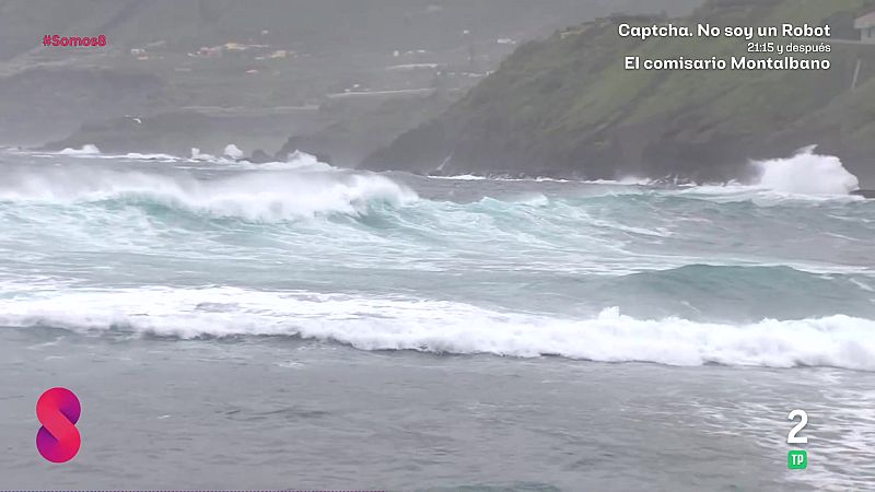 Somos 8 - 18/03/2026 - Somos 8 | Ver