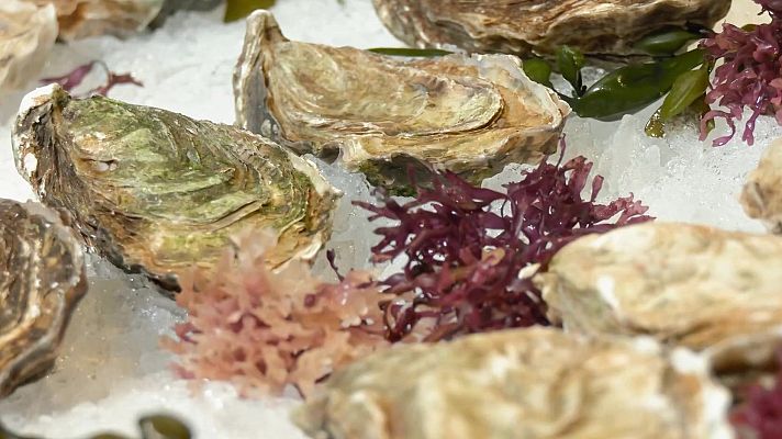 Aquí la Terra - Ostres, suquet de peix i oli d'oliva