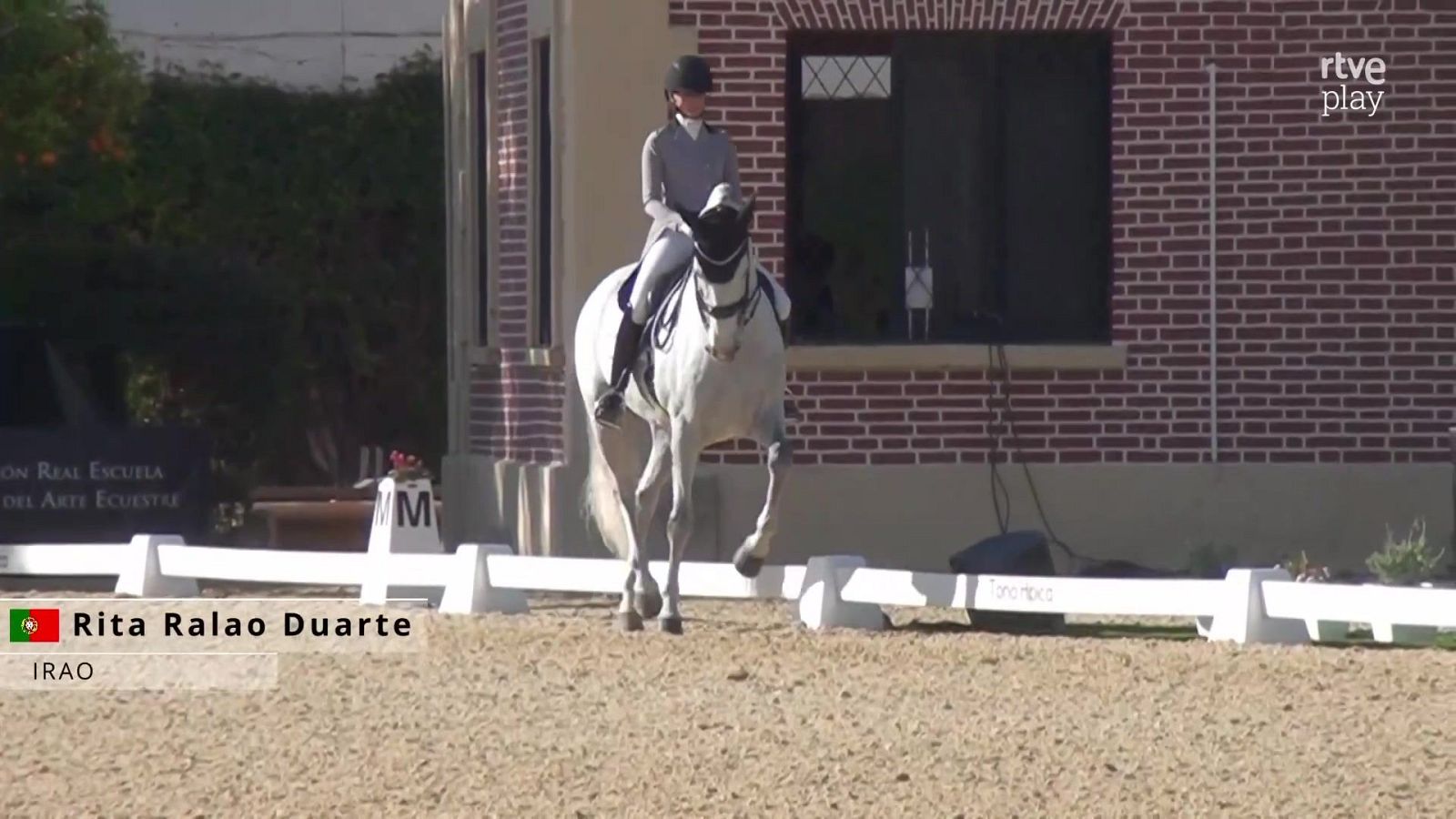 Hípica - Concurso internacional de Doma Clásica. Jerez de la Frontera - Hípica | Ver