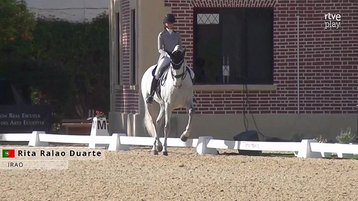 Hípica - Concurso internacional de Doma Clásica. Jerez de la Frontera