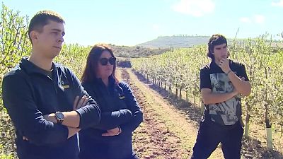 Arag�n, tierra de Erasmus Agrarios - Noticias Arag�n | Ver