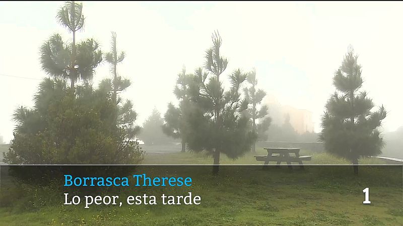 Telecanarias - 19/03/2026 | Ver