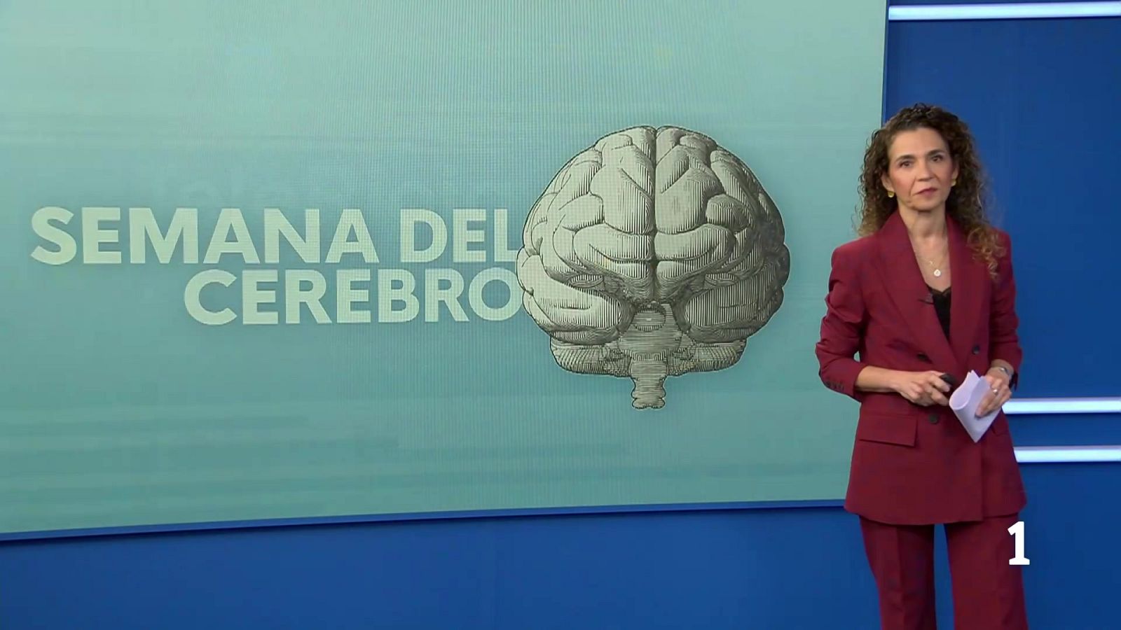 Esta semana está dedicada a uno de los órganos vitales, el cerebro - Informativo Telerioja | Ver