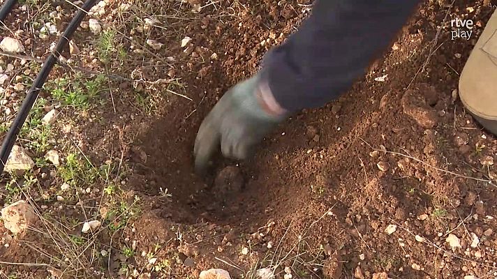 Aquí hay trabajo - Diamante negro