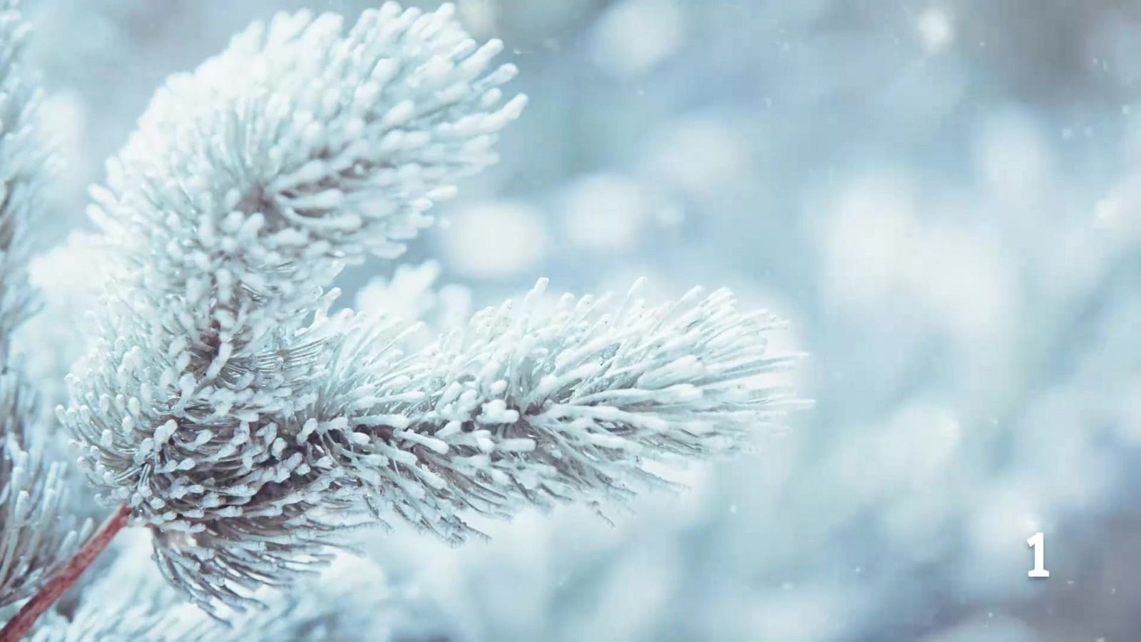 El Tiempo en la Región de Murcia - 20/03/2026 | Ver