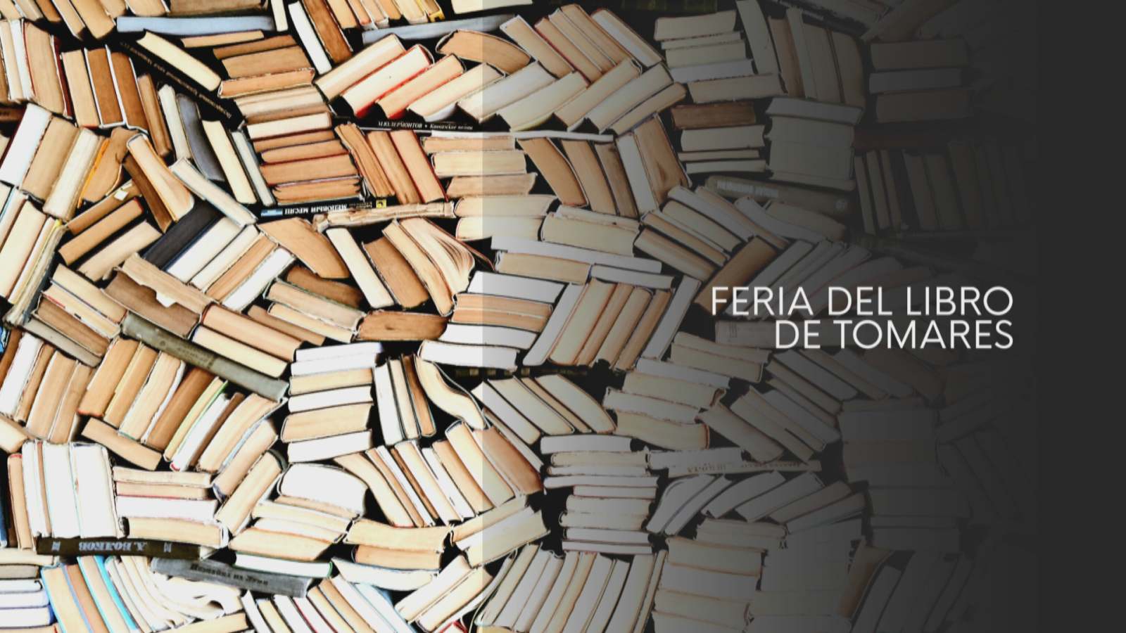 Feria del Libro de Tomares - Noticias Andalucía | Ver