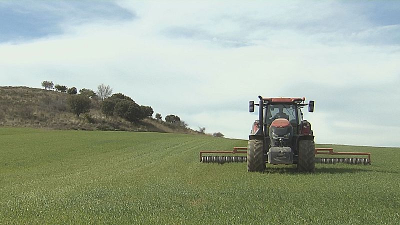 Los agricultores sufren la subida de gasóleo agrícola y fertilizantes - Noticias de Castilla y León | Ver