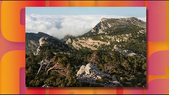 Saber y ganar - Saber y ganar - 20/03/26