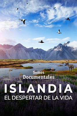 Somos Documentales - Islandia. El despertar de la vida