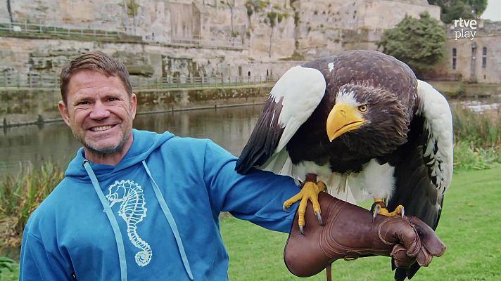 Depredadores letales - Poder depredador