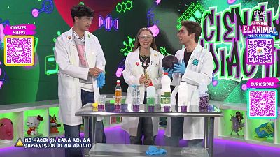 Team Total - Programa 80 - Team Total | Ver