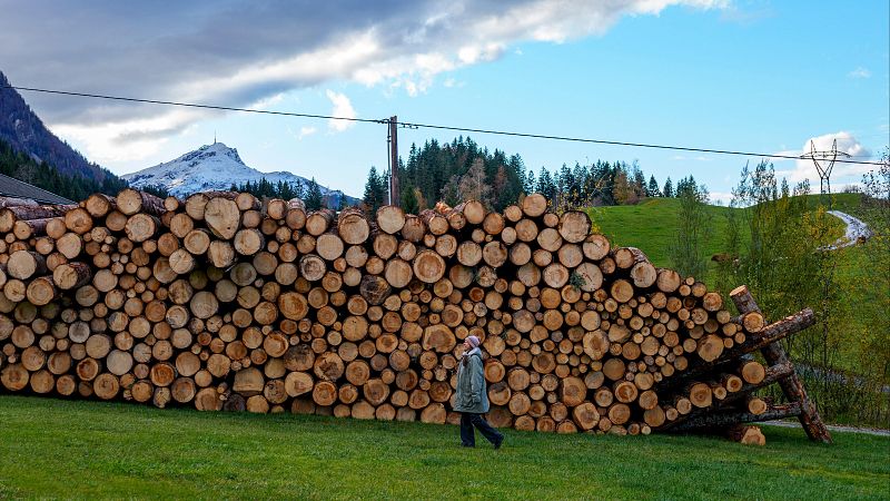 La leña escasea tras las intensas lluvias del invierno | Ver
