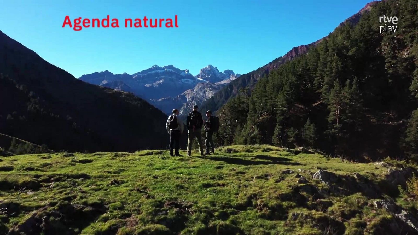 Agenda natural | Ver