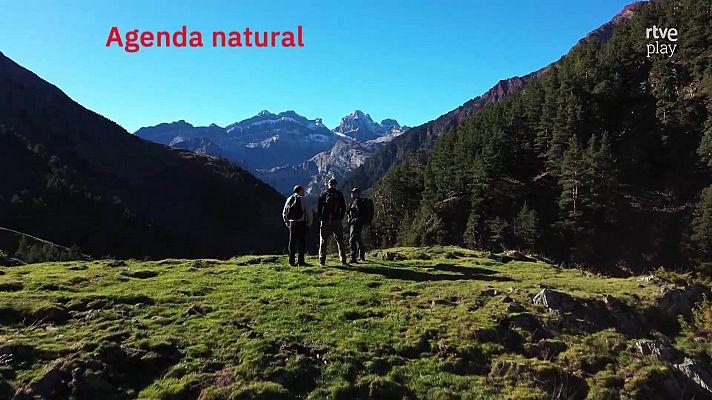 La aventura del Saber - Agenda natural