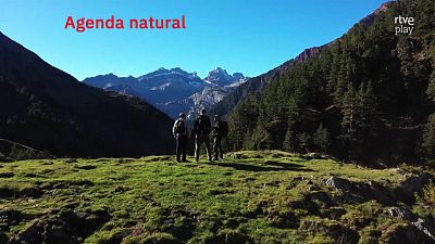 Agenda natural | Ver