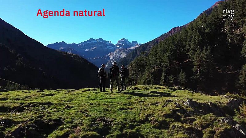 Agenda natural | Ver