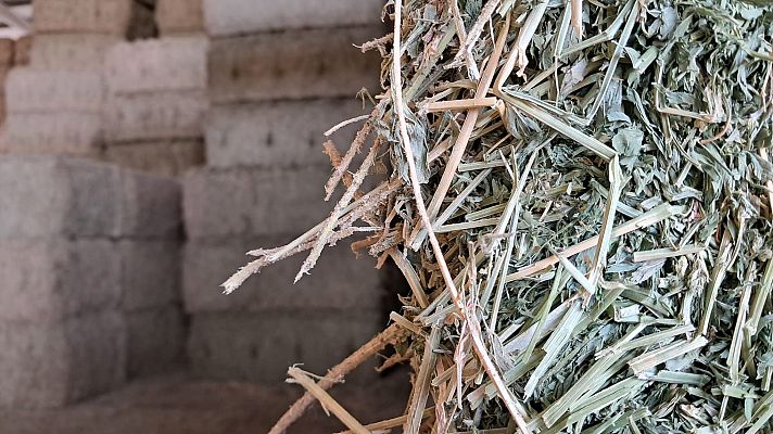 Noticias de Castilla y León - La guerra de Irán bloquea la exportación de forraje a Oriente Medio