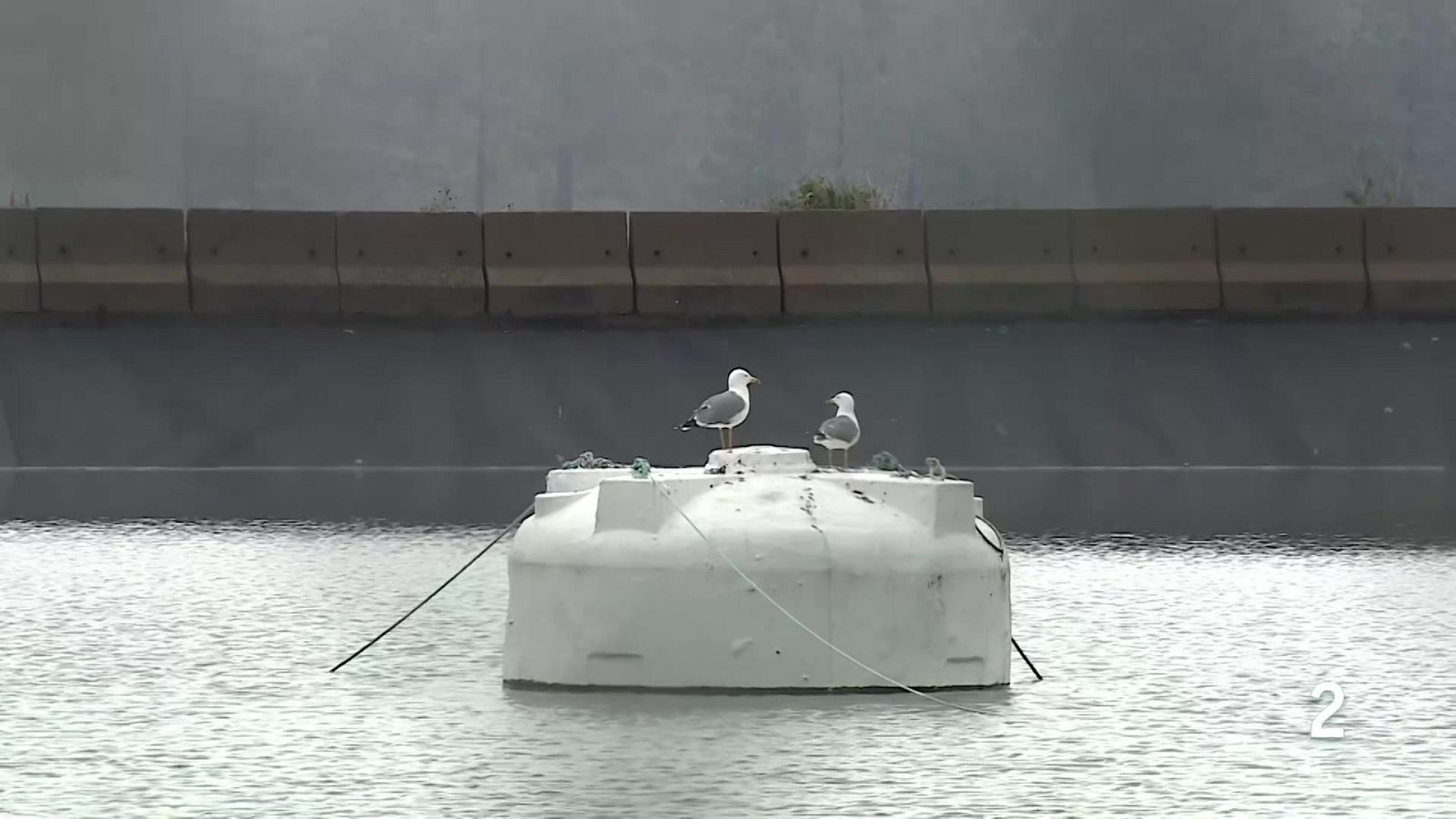 Telecanarias Tarde - 23/03/2026 | Ver