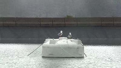 Telecanarias Tarde - 23/03/2026