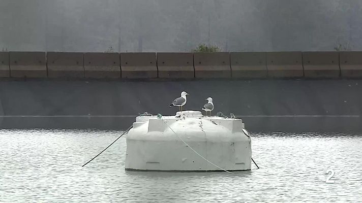 Telecanarias - Telecanarias Tarde - 23/03/2026