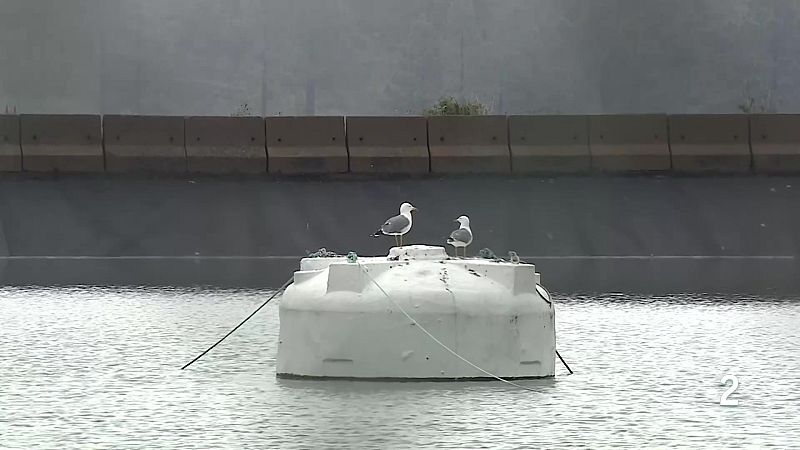 Telecanarias Tarde - 23/03/2026 | Ver