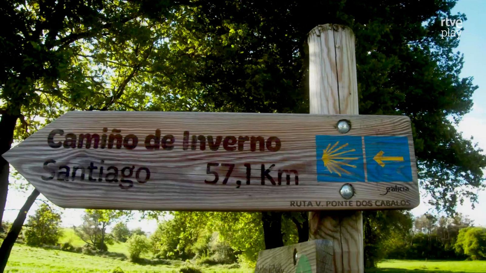 Camino de invierno | Ver