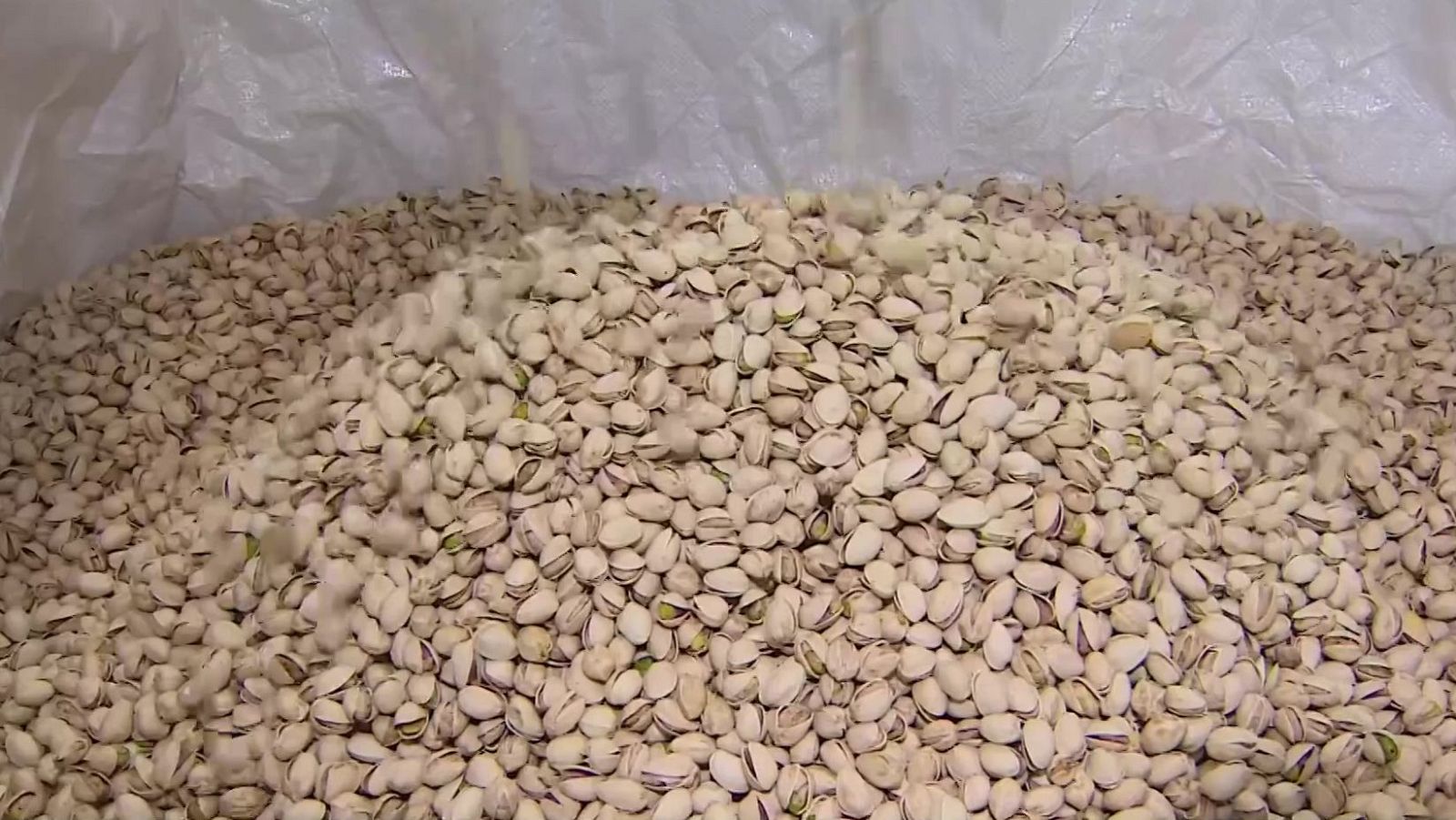 La guerra de Irán podría beneficiar la exportación de pistacho - Noticias Aragón | Ver