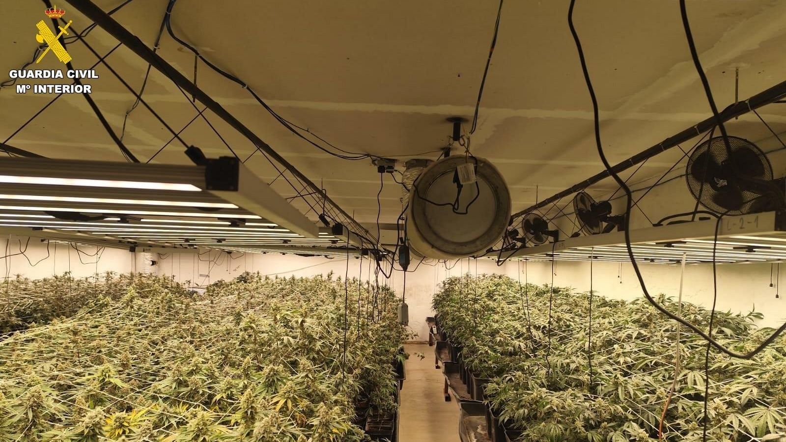 15 detenidos en tres operaciones contra el narcotráfico en Ávila - Noticias de Castilla y León | Ver