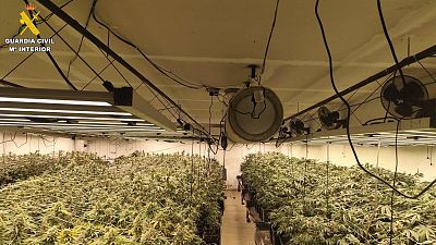 15 detenidos en tres operaciones contra el narcotr�fico en �vila - Noticias de Castilla y Le�n | Ver