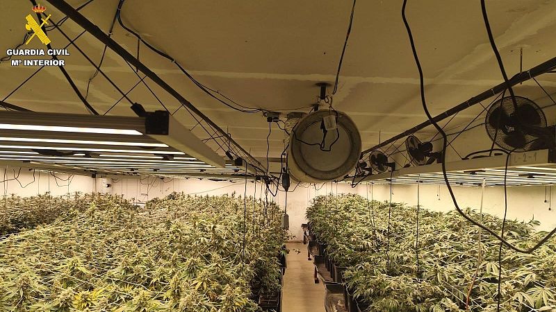 15 detenidos en tres operaciones contra el narcotráfico en Ávila - Noticias de Castilla y León | Ver