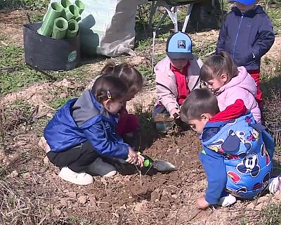 El bosque de los zaragozanos - Noticias Arag�n | Ver