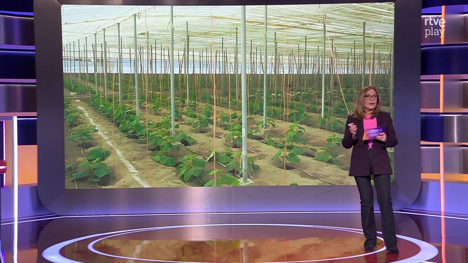 Saber y ganar - 24/03/26 - Saber y ganar | Ver